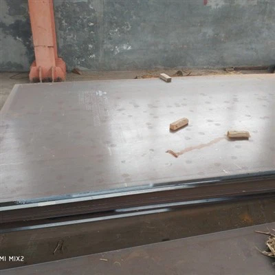 Piastra di usura NM 500